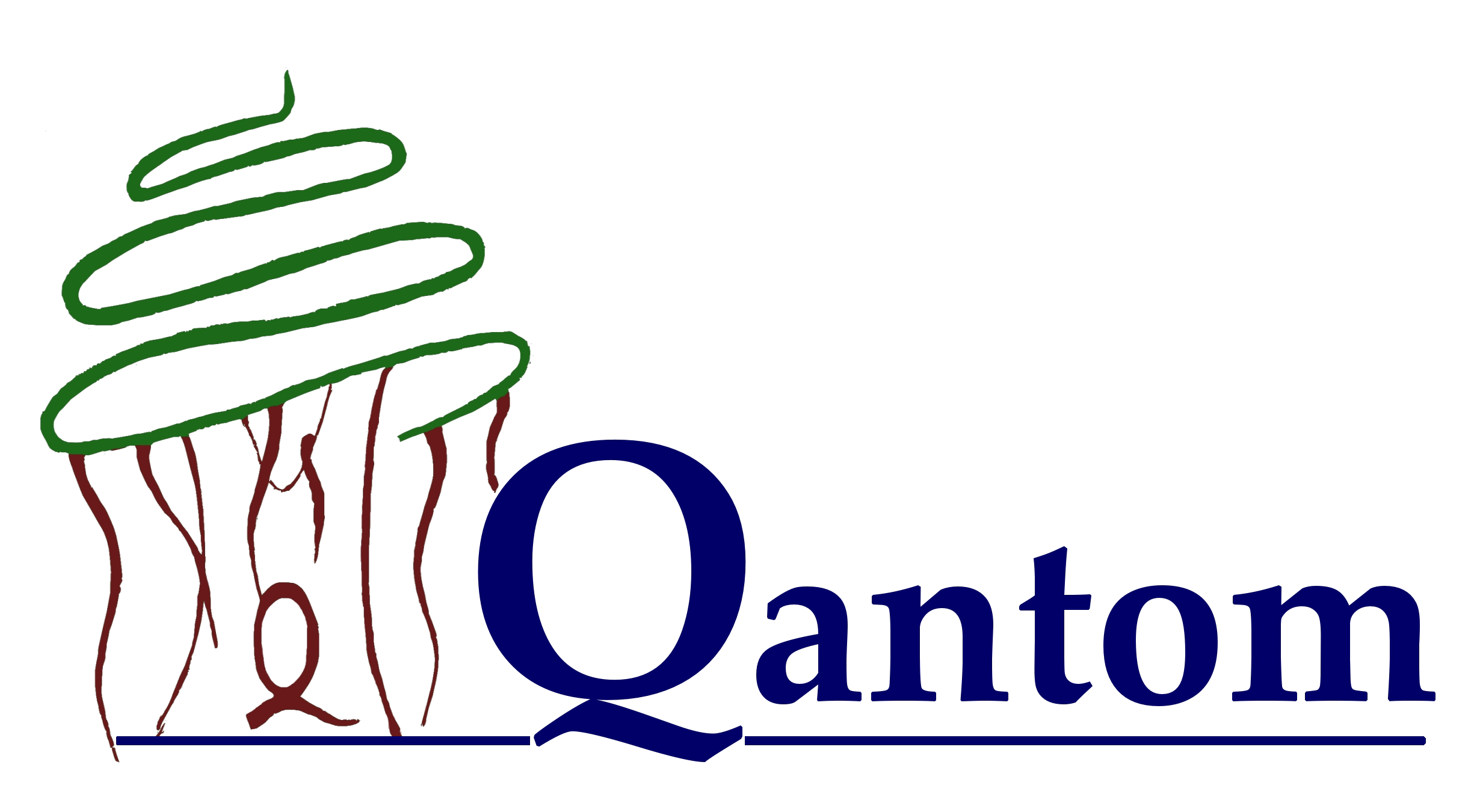 Qantom Software Private Limited