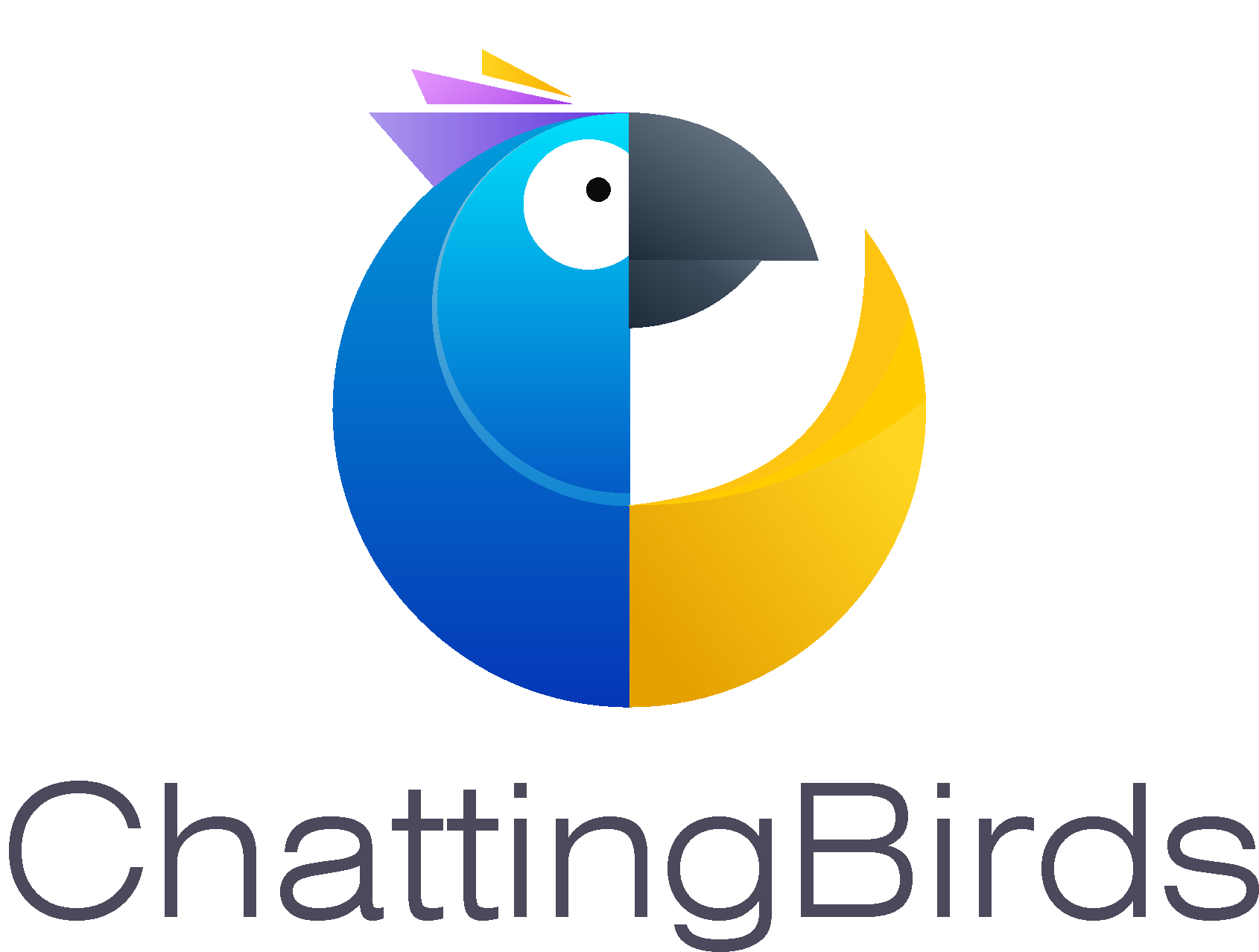 ChattingBirds Solution Pvt Ltd.,